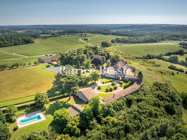 Vente Maison 20 pièces 800 m2 Castillon la Bataille