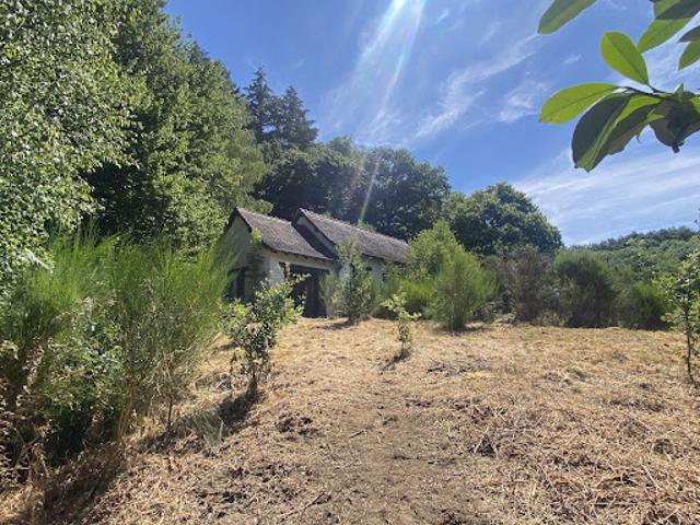 Vente Maison 2 pièces 36 m2 Saint Méard