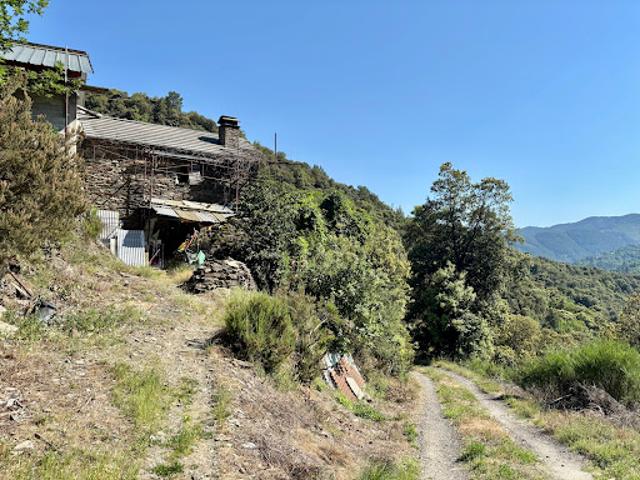 Vente Maison 2 pièces 40 m2 Saint Privat de Vallongue