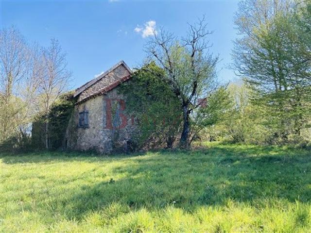 Vente Maison 2 pièces 62 m2 Naves
