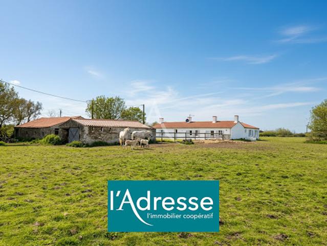 Vente Maison 7 pièces 142 m2 Saint Urbain