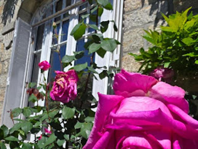 Vente Maison 7 pièces 170 m2 Quimper