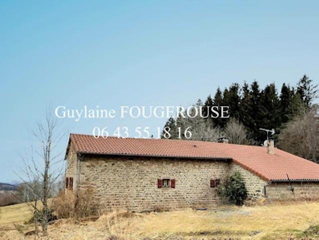 Vente Maison 7 pièces 220 m2 Montbrison