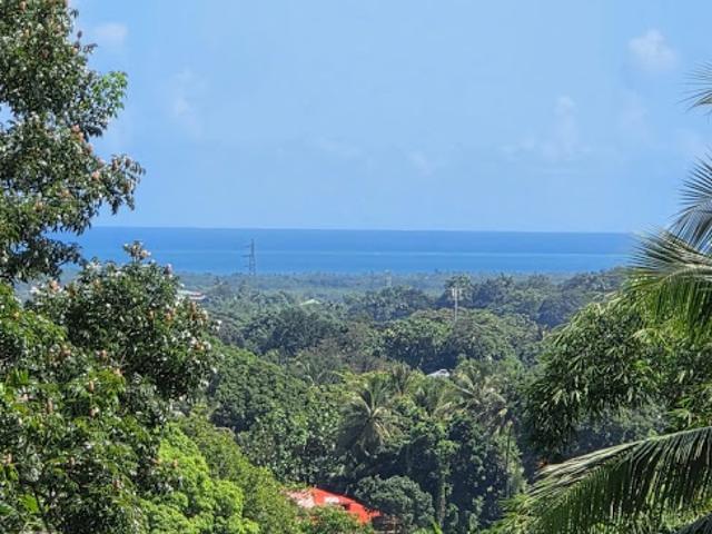 Vente Maison 7 pièces 220 m2 Petit bourg