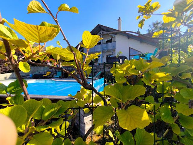 Vente Maison 7 pièces 220 m2 Viuz en Sallaz