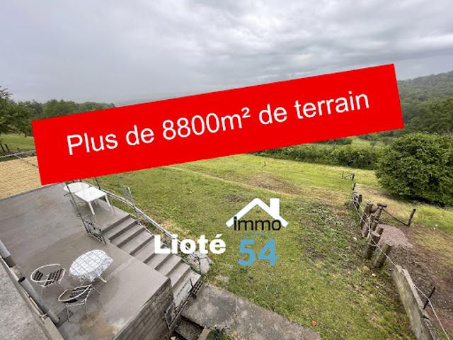 Vente Maison 7 pièces 234 m2 Vincey