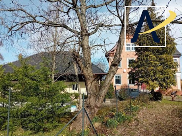 Vente Maison 7 pièces 250 m2 Dannemarie