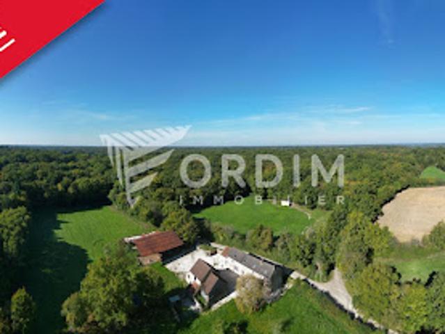 Vente Maison 7 pièces 253.04 m2 Toucy