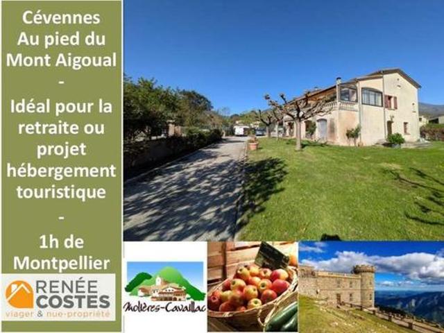 Vente Maison 7 pièces 262 m2 Le Vigan