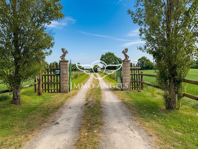 Vente Maison 7 pièces 322 m2 Argentré