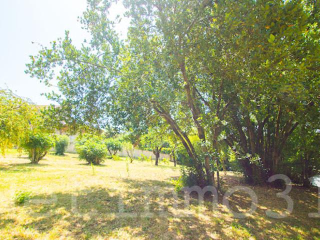 Vente Maison 7 pièces 350 m2 Puylaurens