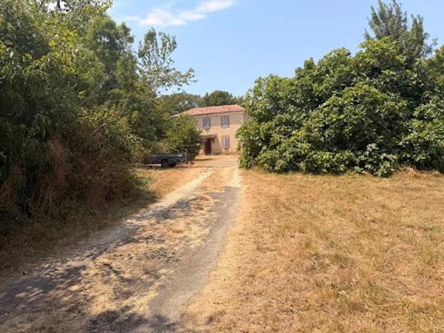 Vente Maison 7 pièces 443 m2 Pavie