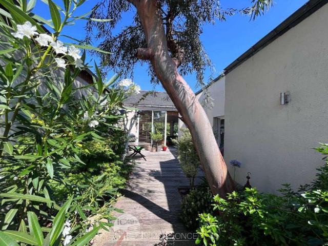 Vente maison 7 pièces Brissac Quince 49
