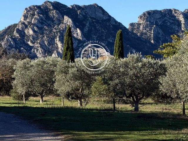 Vente maison 7 pièces Eygalières 13