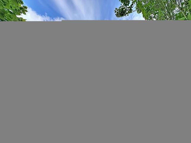Vente maison 7 pièces La Châtaigneraie 85