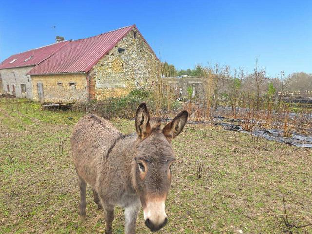 Vente maison 7 pièces Sainte Scolasse sur Sarthe 61
