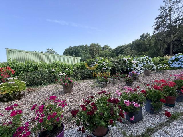 Vente maison 7 pièces Secondigny 79