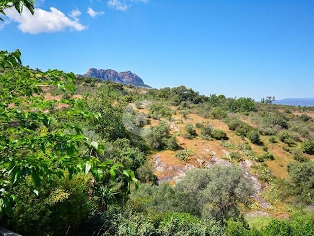 Vente Maison 4 pièces 109 m2 Roquebrune sur Argens