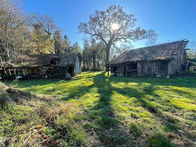 Vente Maison 4 pièces 125 m2 Saint Vincent de Paul
