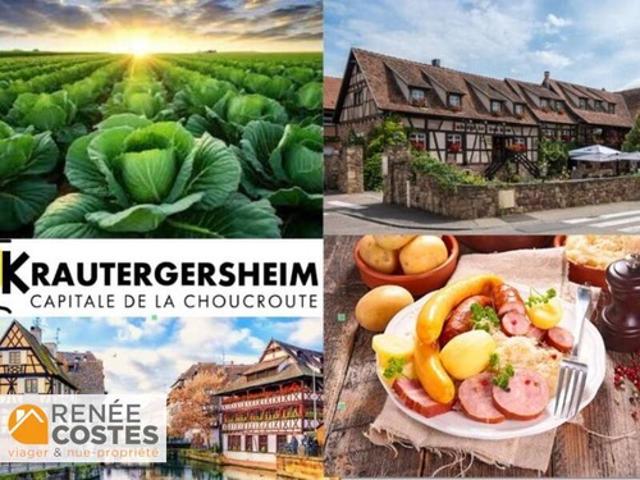 Vente Maison 4 pièces 120 m2 Obernai