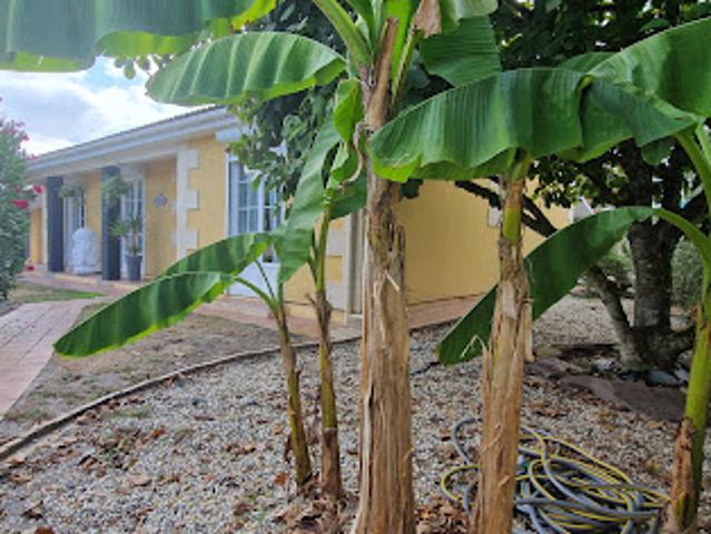 Vente Maison 4 pièces 121 m2 Ludon Médoc