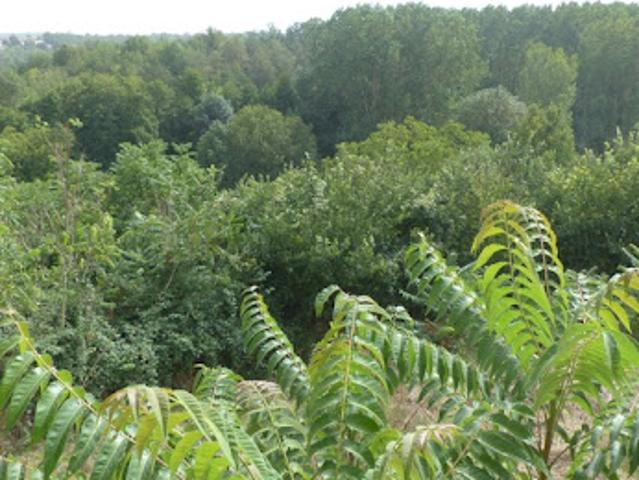Vente Maison 4 pièces 122 m2 Availles Thouarsais