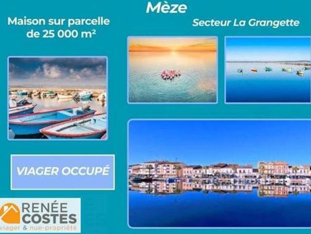 Vente Maison 4 pièces 169 m2 Meze