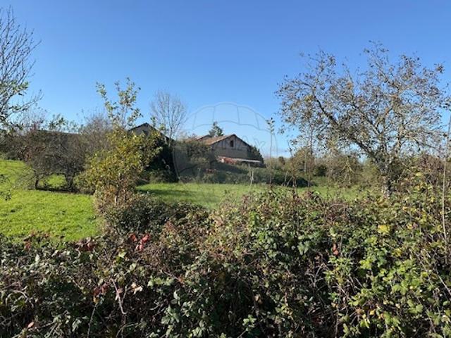 Vente Maison 4 pièces 190 m2 Mons