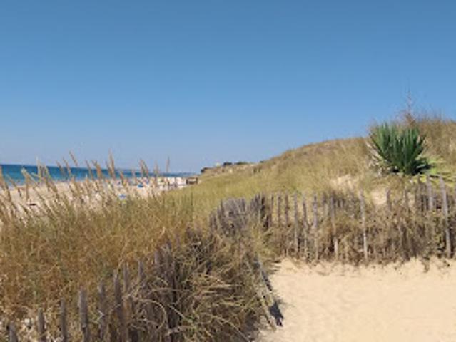 Vente Maison 4 pièces 66 m2 Le bois plage en re