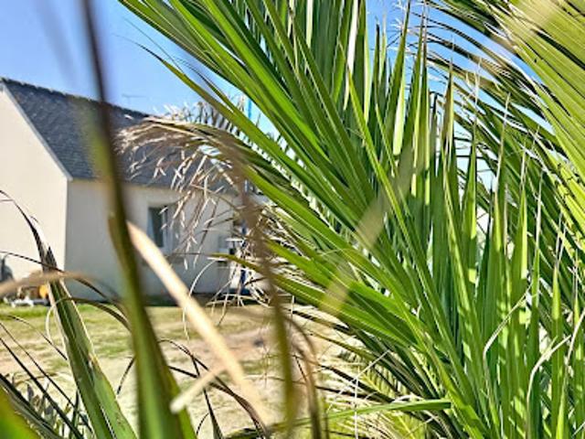Vente Maison 4 pièces 68 m2 Penmarch