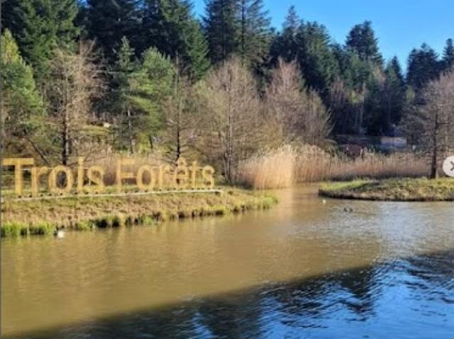 Vente Maison 4 pièces 78 m2 Hattigny