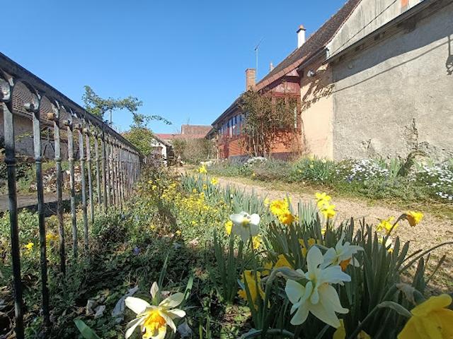 Vente Maison 4 pièces 80 m2 Saulcet