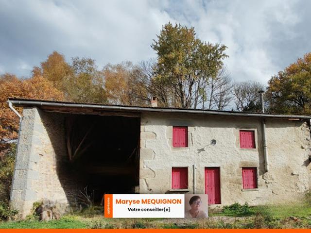 Vente Maison 4 pièces 90 m2 Le Brugeron