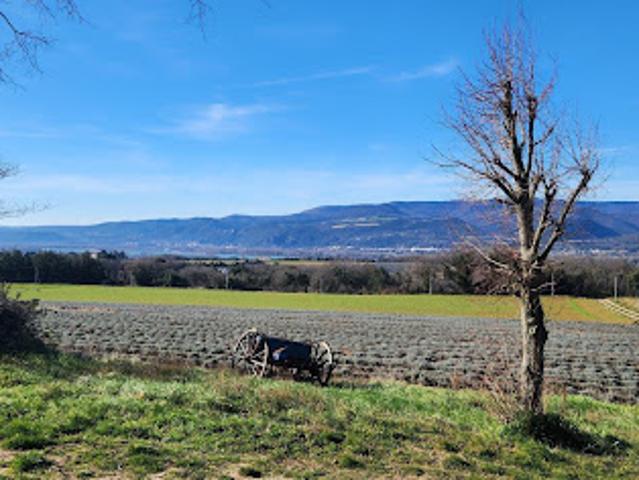 Vente Maison 4 pièces 90 m2 Savasse