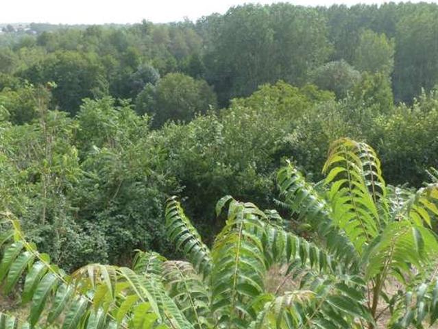 Vente maison 4 pièces Availles Thouarsais 79