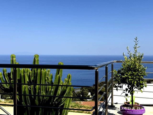 Vente maison 4 pièces Brando 20