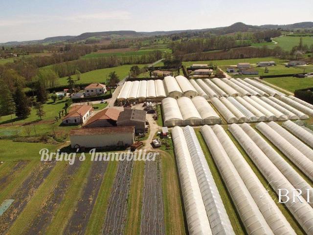 Vente maison 4 pièces Dausse 47