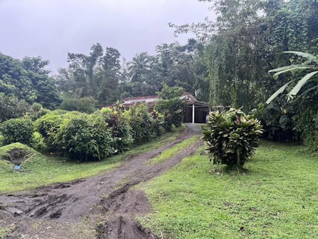 Vente Maison 4 pièces L Ajoupa Bouillon