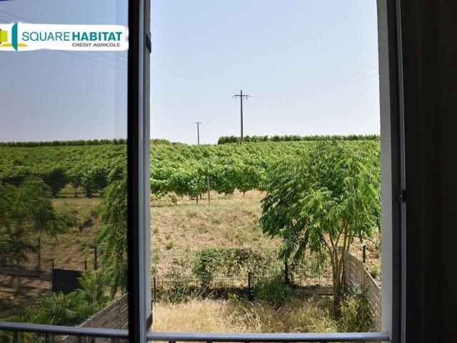 Vente maison 4 pièces Montsoreau 49