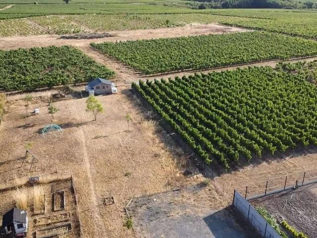 Vente maison 4 pièces Saint Lambert du Lattay 49
