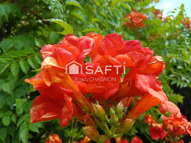 Vente maison 4 pièces Saint Martin des Fontaines 85