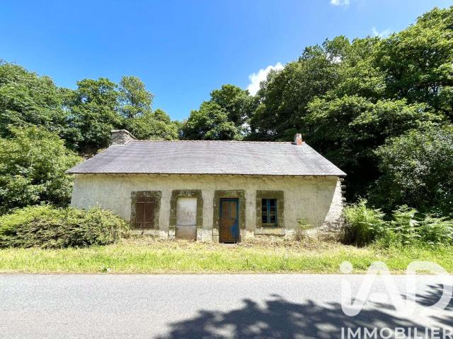 Vente maison 4 pièces Plounévézel 29