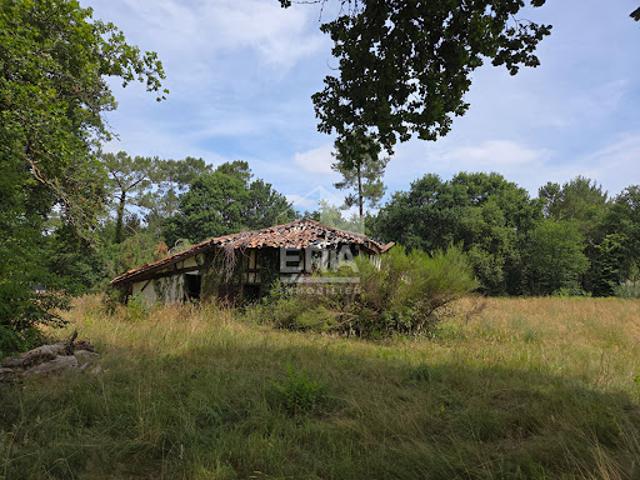 Vente Maison 5 pièces 115 m2 Morcenx la Nouvelle