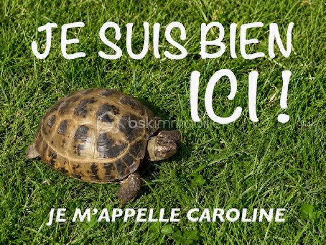 Vente Maison 5 pièces 115 m2 Calais