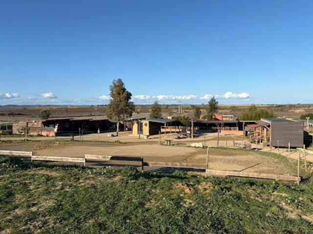 Vente Maison 5 pièces 112 m2 Bassan