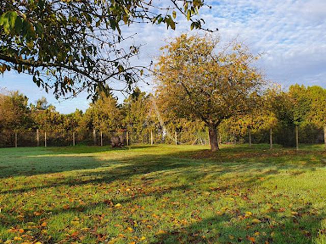 Vente Maison 5 pièces 129 m2 Lignières de Touraine