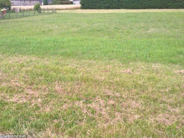 Vente Maison 5 pièces 120 m2 Cravant les Côteaux