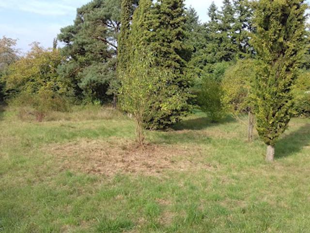 Vente Maison 5 pièces 132 m2 Montcourt Fromonville