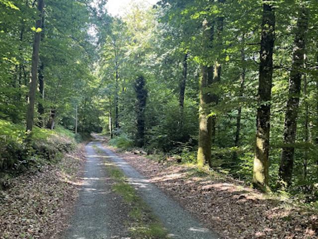Vente Maison 5 pièces 132 m2 Eymoutiers