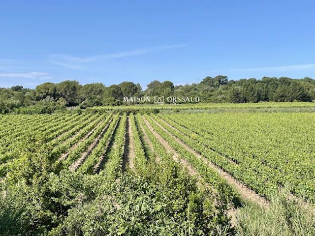 Vente Maison 5 pièces 147.5 m2 Juvignac